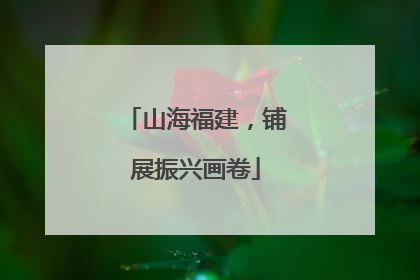 山海福建，铺展振兴画卷