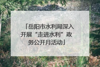 岳阳市水利局深入开展“走进水利”政务公开月活动