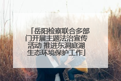岳阳检察联合多部门开展主题法治宣传活动 推进东洞庭湖生态环境保护工作