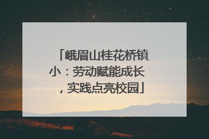 峨眉山桂花桥镇小：劳动赋能成长，实践点亮校园