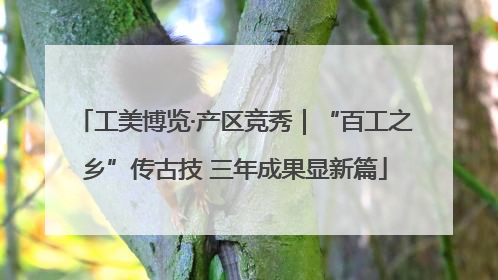 工美博览·产区竞秀｜“百工之乡”传古技 三年成果显新篇