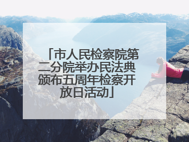 市人民检察院第二分院举办民法典颁布五周年检察开放日活动