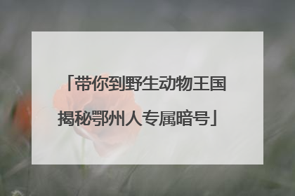 带你到野生动物王国揭秘鄂州人专属暗号