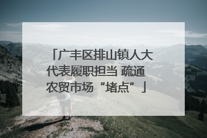 广丰区排山镇人大代表履职担当 疏通农贸市场“堵点”