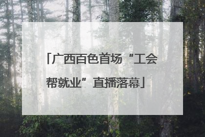 广西百色首场“工会帮就业”直播落幕