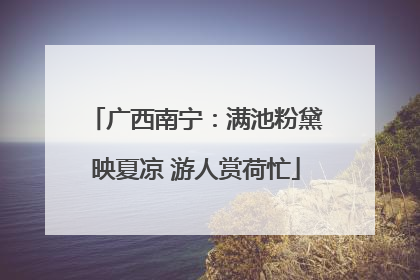 广西南宁：满池粉黛映夏凉 游人赏荷忙