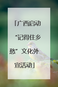 广西启动“记得住乡愁”文化外宣活动
