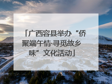 广西容县举办“侨聚端午情·寻觅故乡味”文化活动