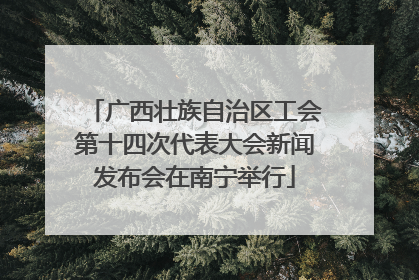广西壮族自治区工会第十四次代表大会新闻发布会在南宁举行