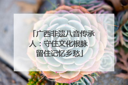 广西非遗八音传承人：守住文化根脉 留住记忆乡愁