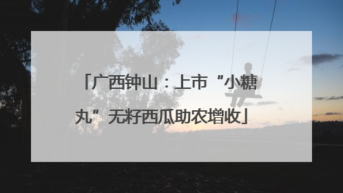 广西钟山：上市“小糖丸”无籽西瓜助农增收