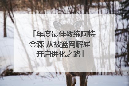 年度最佳教练阿特金森 从被篮网解雇开启进化之路