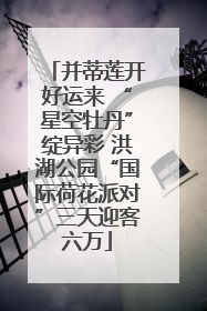 并蒂莲开好运来 “星空牡丹”绽异彩 洪湖公园“国际荷花派对”三天迎客六万