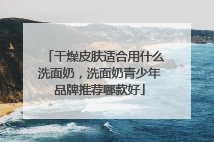 干燥皮肤适合用什么洗面奶，洗面奶青少年品牌推荐哪款好
