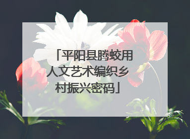 平阳县腾蛟用人文艺术编织乡村振兴密码