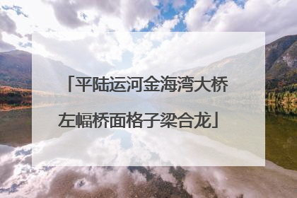 平陆运河金海湾大桥左幅桥面格子梁合龙