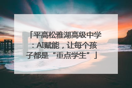 平高松雅湖高级中学：AI赋能，让每个孩子都是“重点学生”