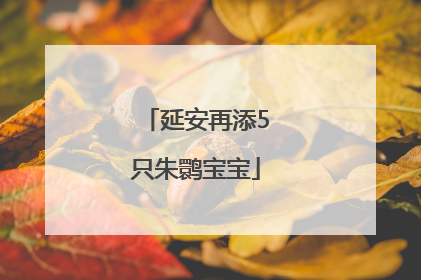延安再添5只朱鹮宝宝
