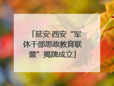 延安·西安“军休干部思政教育联盟”揭牌成立
