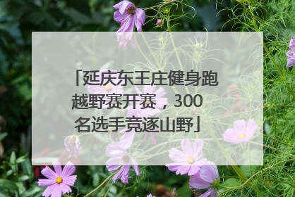 延庆东王庄健身跑越野赛开赛，300名选手竞逐山野