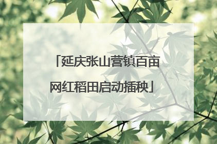 延庆张山营镇百亩网红稻田启动插秧