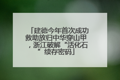 建德今年首次成功救助放归中华穿山甲，浙江破解“活化石”续存密码