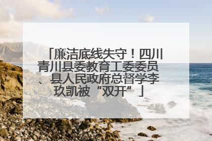 廉洁底线失守！四川青川县委教育工委委员、县人民政府总督学李玖凯被“双开”