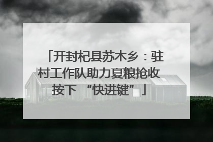 开封杞县苏木乡：驻村工作队助力夏粮抢收按下 “快进键”