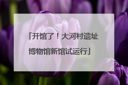 开馆了！大河村遗址博物馆新馆试运行