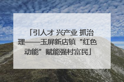 引人才 兴产业 抓治理——玉屏新店镇“红色动能”赋能强村富民