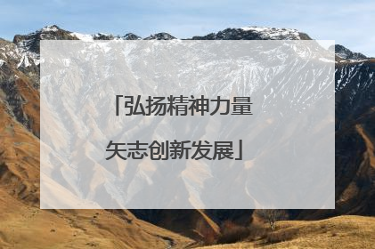 弘扬精神力量 矢志创新发展