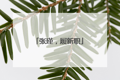 张瑾，履新职
