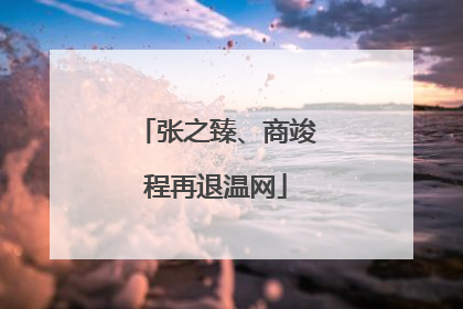 张之臻、商竣程再退温网