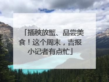 插秧放蟹、品尝美食！这个周末，吉报小记者有点忙