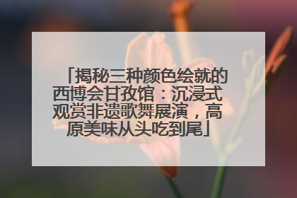 揭秘三种颜色绘就的西博会甘孜馆：沉浸式观赏非遗歌舞展演，高原美味从头吃到尾