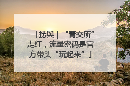 捞舆｜“青交所”走红，流量密码是官方带头“玩起来”