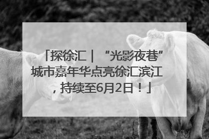 探徐汇｜“光影夜巷”城市嘉年华点亮徐汇滨江，持续至6月2日！