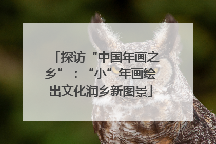 探访“中国年画之乡”：“小”年画绘出文化润乡新图景