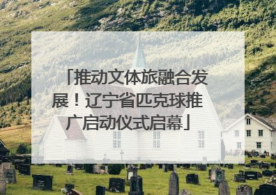 推动文体旅融合发展！辽宁省匹克球推广启动仪式启幕