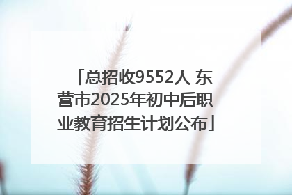 总招收9552人 东营市2025年初中后职业教育招生计划公布