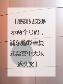 感谢兄弟提示两个号码，浦东购彩者复式票喜中大乐透头奖