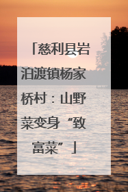 慈利县岩泊渡镇杨家桥村：山野菜变身“致富菜”