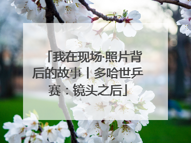 我在现场·照片背后的故事丨多哈世乒赛：镜头之后