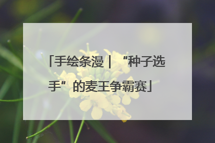 手绘条漫｜“种子选手”的麦王争霸赛