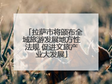 拉萨市将颁布全域旅游发展地方性法规 促进文旅产业大发展