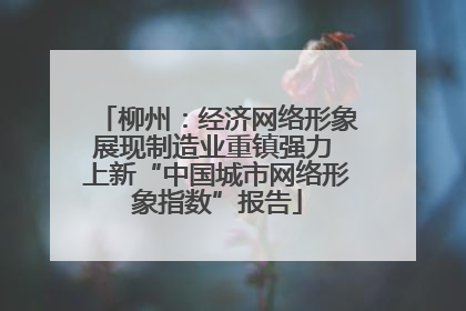 柳州：经济网络形象展现制造业重镇强力 上新“中国城市网络形象指数”报告
