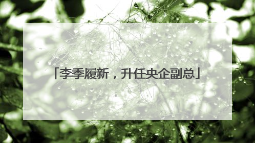 李季履新，升任央企副总