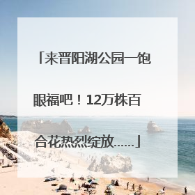 来晋阳湖公园一饱眼福吧！12万株百合花热烈绽放……