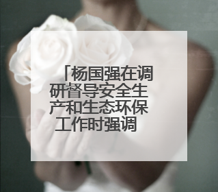 杨国强在调研督导安全生产和生态环保工作时强调 坚决守牢安全环保底线红线 为全市经济社会高质量发展提供坚强保障