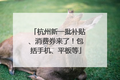 杭州新一批补贴、消费券来了！包括手机、平板等